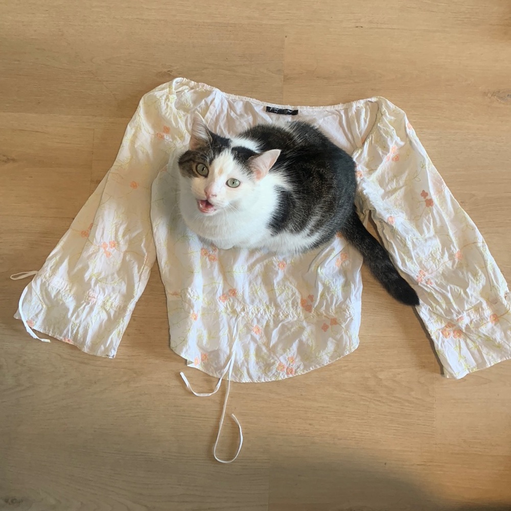 Betsy Johnson White Embroidery Top